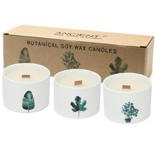 Botanical Candles - Japanese Garden